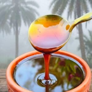 ঝোলা গুড় / রাব